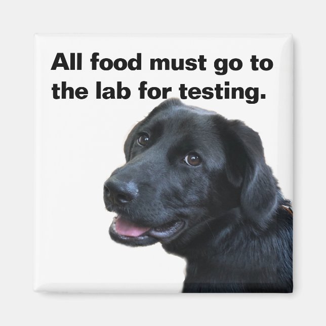 Labrador-Liebe Magnet (Vorne)