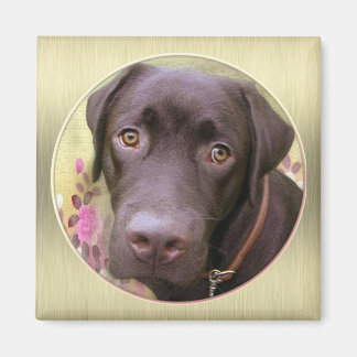 Labrador Magnet