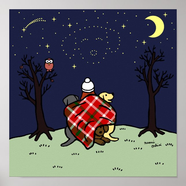 Labrador Mama und Starry Sky Poster (Vorne)