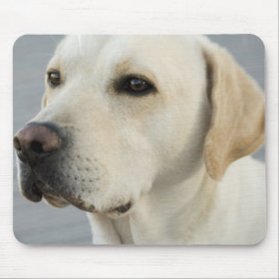 Labrador-Mausunterlage Mousepad