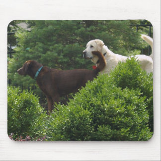 Labrador-Mausunterlage Mousepad
