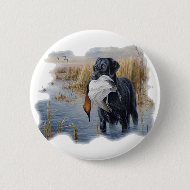 Labrador mit der Enten-Enten-Jagd Button (Vorderseite)