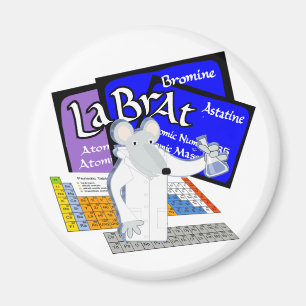 Labrador mit Elementen aus der Periodischen Tabell Magnet