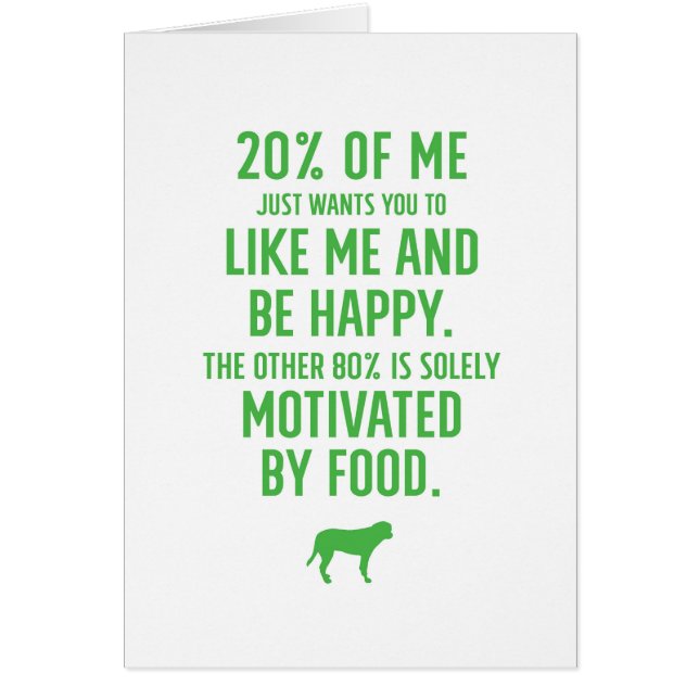 Labrador-Motive (Vorne)