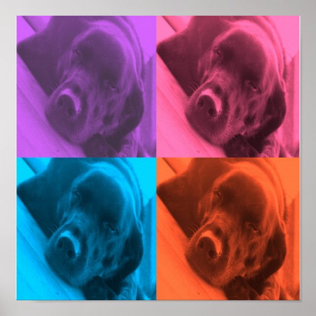 Labrador-Poster Poster (Vorne)