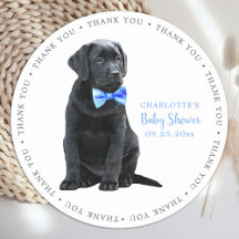 Labrador Puppy Dog Blue Boy Baby Dusche