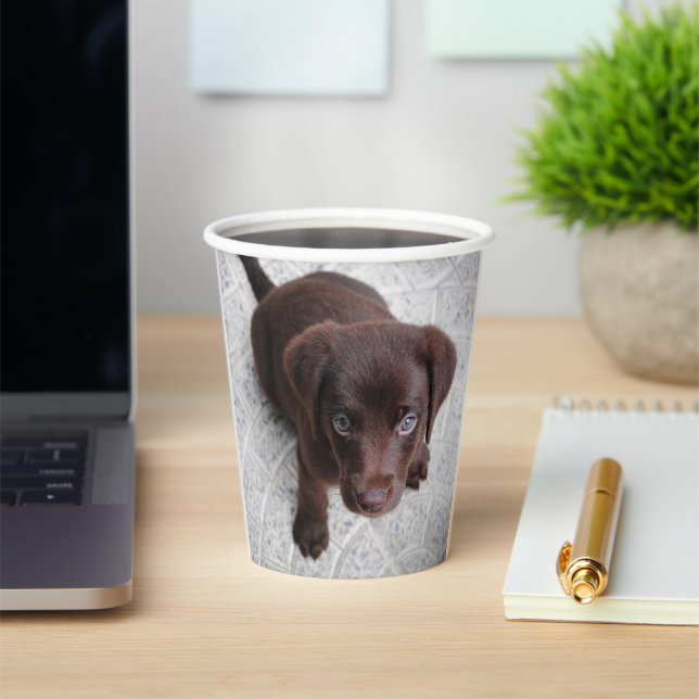 Labrador Puppy Pappbecher (InSitu)