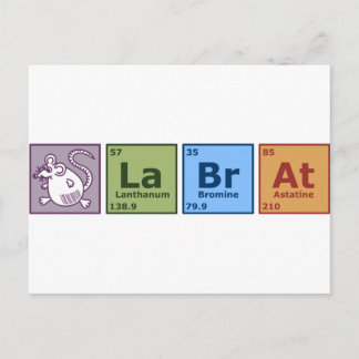 Labrador Rat Postkarte