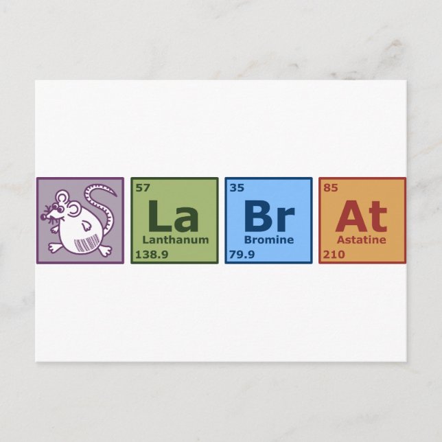 Labrador Rat Postkarte (Vorderseite)