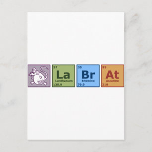 Labrador Rat Postkarte