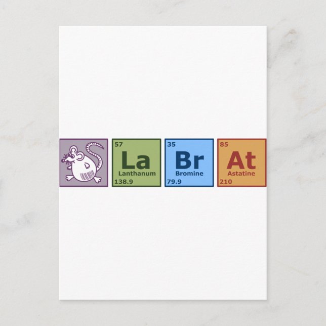 Labrador Rat Postkarte (Vorderseite)