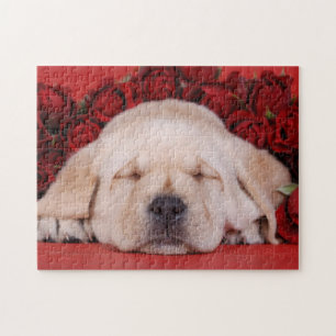 Labrador Redriever Welpe mit rote Rosen Puzzle
