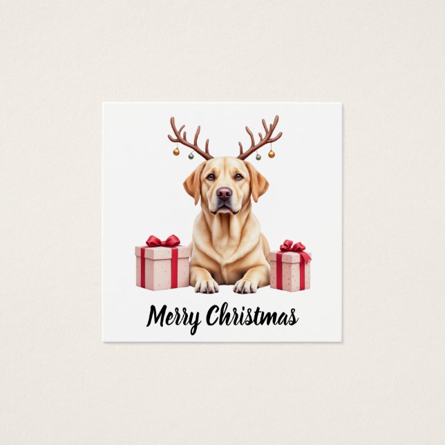 Labrador Reindeer (Vorderseite)