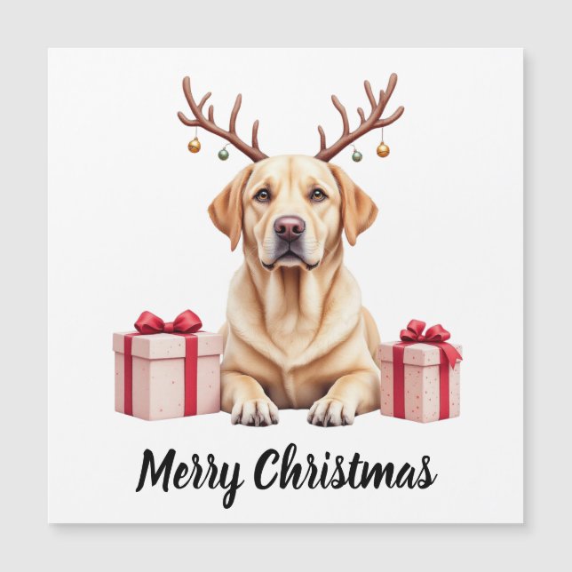 Labrador Reindeer Magnetkarte (Vorderseite)