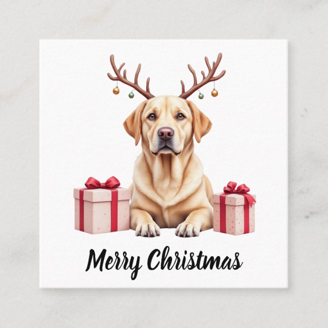 Labrador Reindeer Quadratische Visitenkarte (Vorderseite)