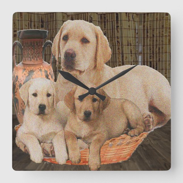 Labrador Retrieever Quadratische Wanduhr (Vorderseite)