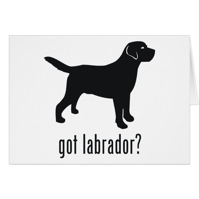 Labrador retriever (Vorderseite (Horizontal))