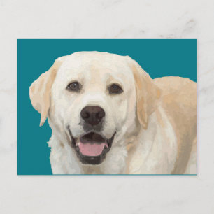 Labrador retriever 1 postkarte