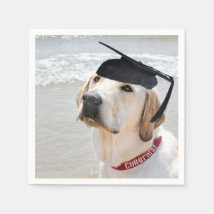 Labrador Retriever Absolvent Mit Hut Serviette