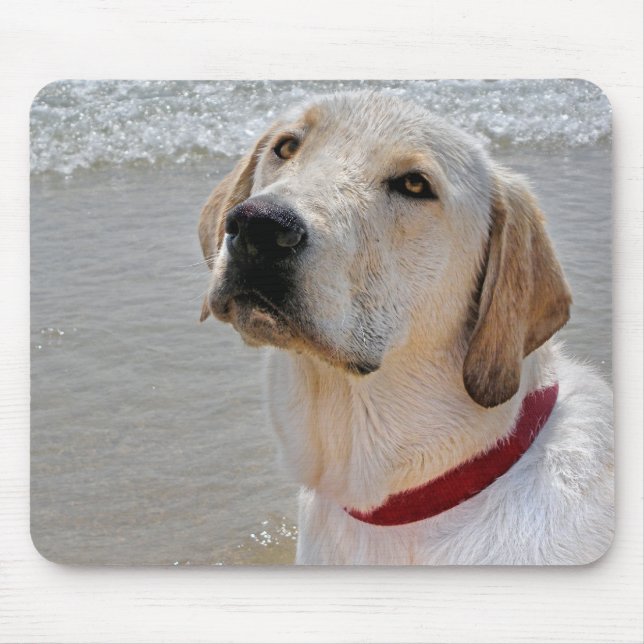 Labrador Retriever am Strand Mousepad (Vorne)