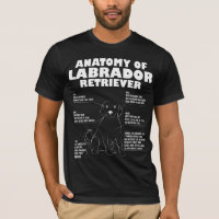 Labrador retriever-Anatomie-lustiges