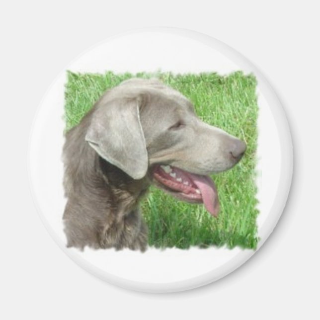 Labrador Retriever Apparell and Items Magnet (Vorne)