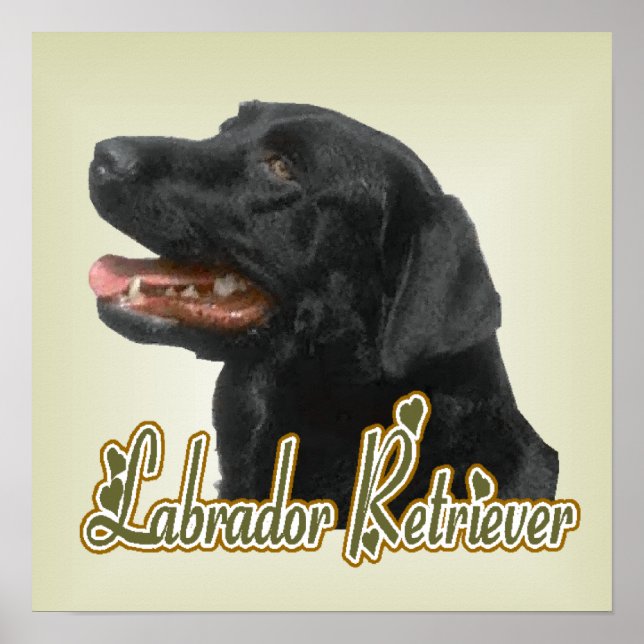 Labrador Retriever Art Print Poster (Vorne)