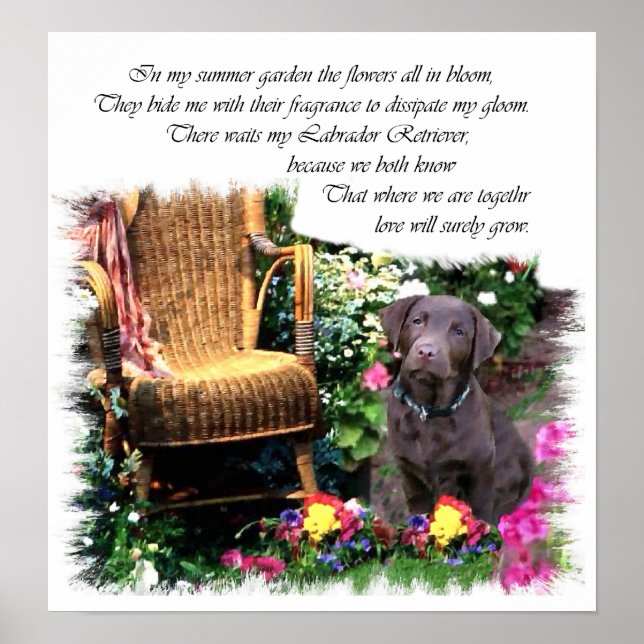 Labrador Retriever Art Print Poster (Vorne)