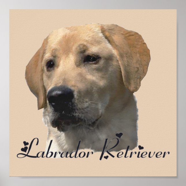 Labrador Retriever Art Prints Poster (Vorne)