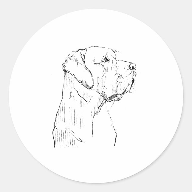 Labrador Retriever Aufkleber (Vorderseite)