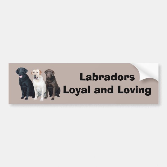 Labrador-Retriever-Autoaufkleber Autoaufkleber (Vorne)