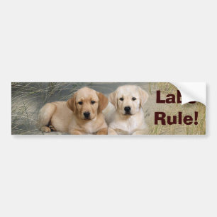 Labrador-Retriever-Autoaufkleber-Welpen-Regel Autoaufkleber