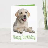 Labrador Retriever Birthday Gelbe Labrador Welpenh