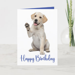 Labrador Retriever Birthday Gelbe Labrador Welpenh Karte