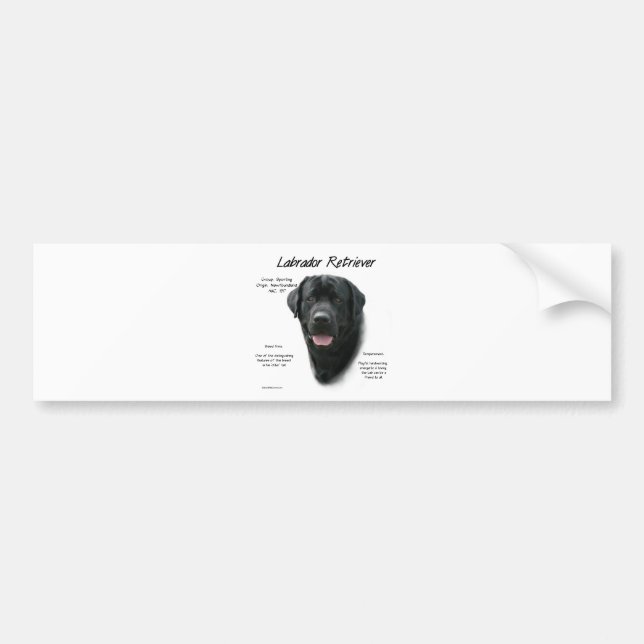 Labrador Retriever (blk) History Design Autoaufkleber (Vorne)