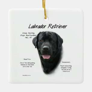 Labrador Retriever (blk) History Design Keramikornament