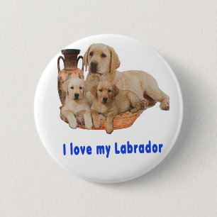 Labrador Retriever Button
