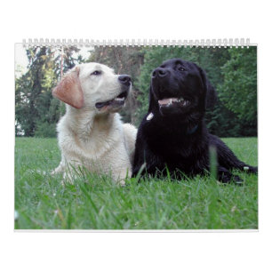 Labrador Retriever Calender Kalender