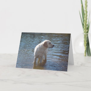 Labrador Retriever Card am See Karte