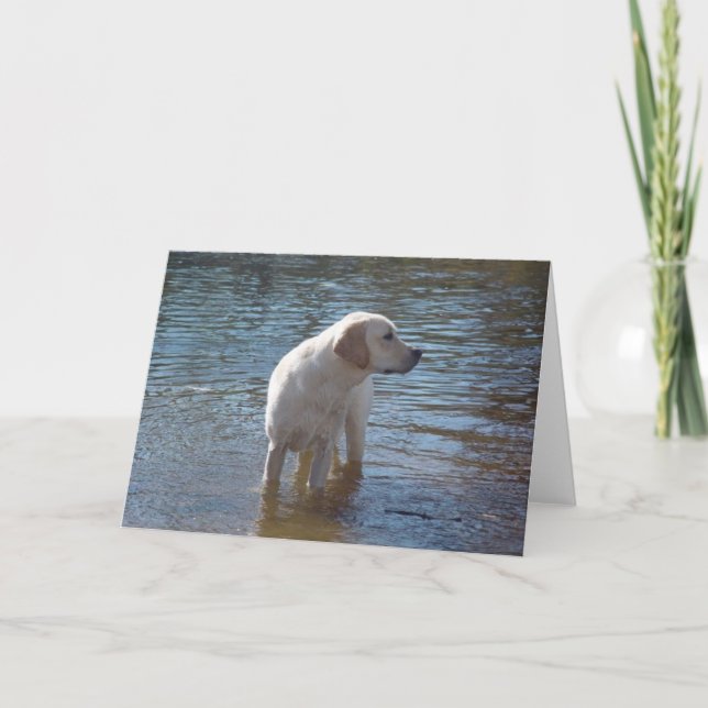 Labrador Retriever Card am See Karte (Vorderseite)