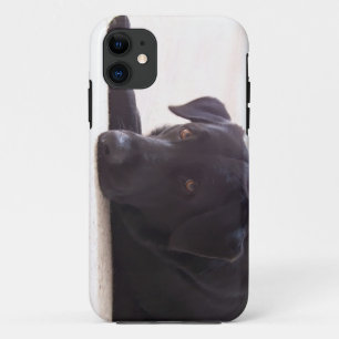 labrador retriever Case-Mate iPhone hülle