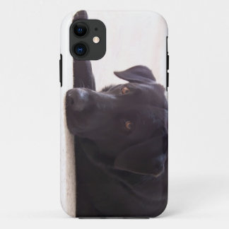 labrador retriever Case-Mate iPhone hülle