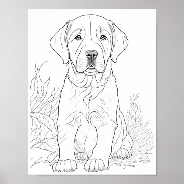 Labrador Retriever Dog Aduloring Coloring Poster (Vorne)