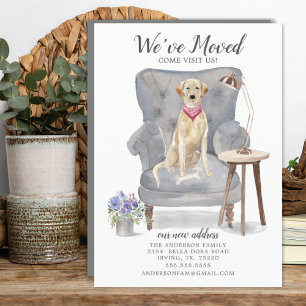 Labrador retriever Dog   Ankündigung der Beförderu