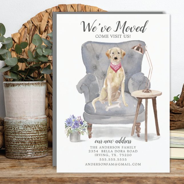 Labrador retriever Dog | Ankündigung der Beförderu (Von Creator hochgeladen)