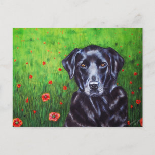 Labrador Retriever Dog Art - Poppy Postkarte