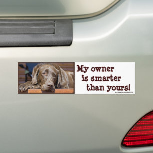 Labrador Retriever Dog Foto Funny  Autoaufkleber
