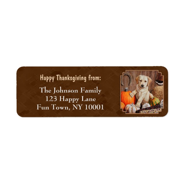 Labrador Retriever Dog & Pumpkins Brown (Vorne)