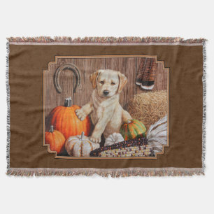 Labrador Retriever Dog & Pumpkins Brown Decke