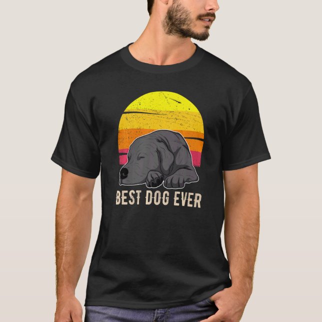 Labrador Retriever Dog Sunset 57 T-Shirt (Vorderseite)